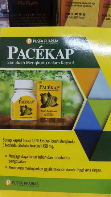 PACEKAP SARI BUAH MENGKUDU