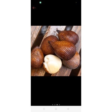 

salak pondoh