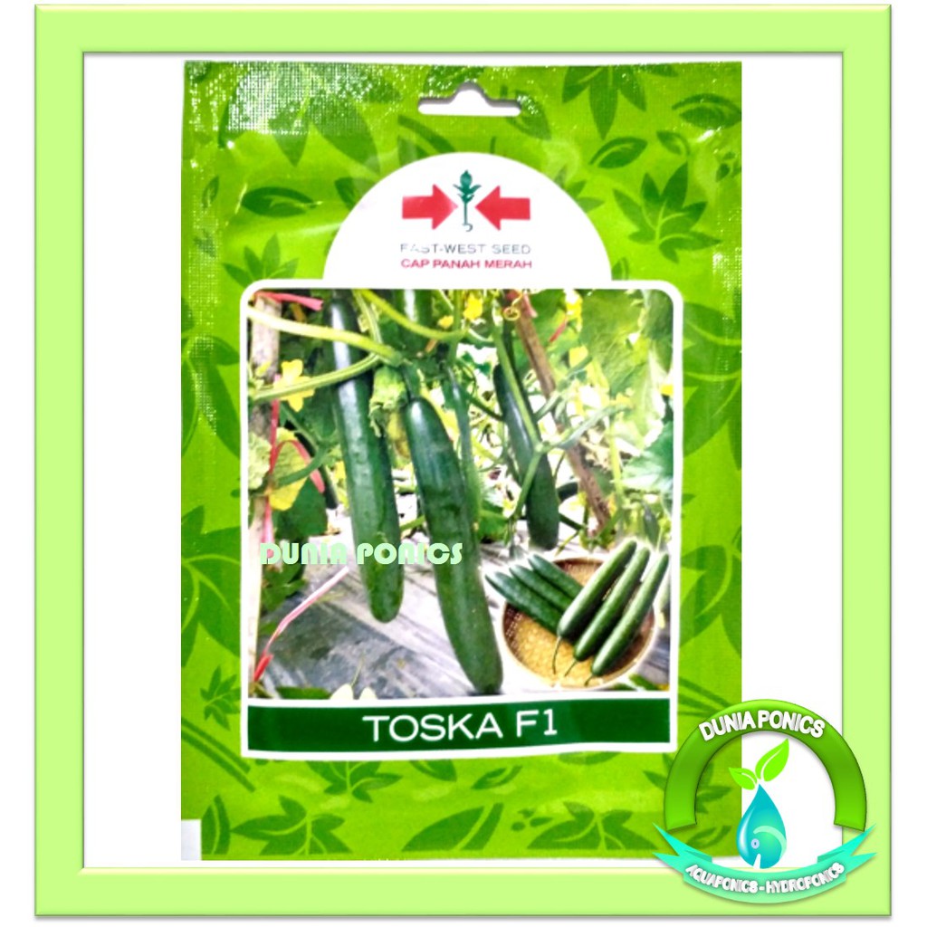 Benih Timun Jepang TOSKA F1 Cap Panah Merah Kemasan Asli Kyuri Small Pouch 1 Pack 175 Butir