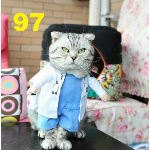 baju hewan kostum hewan dokter baju anjing kucing pet costume /Baju hewan