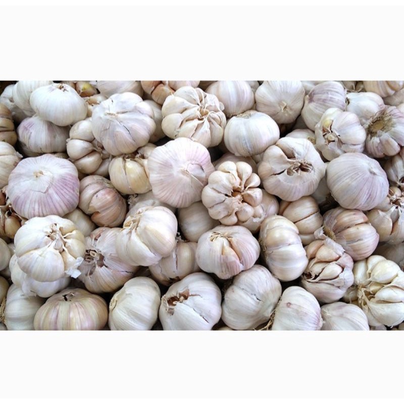 

Bawang putih 1kg