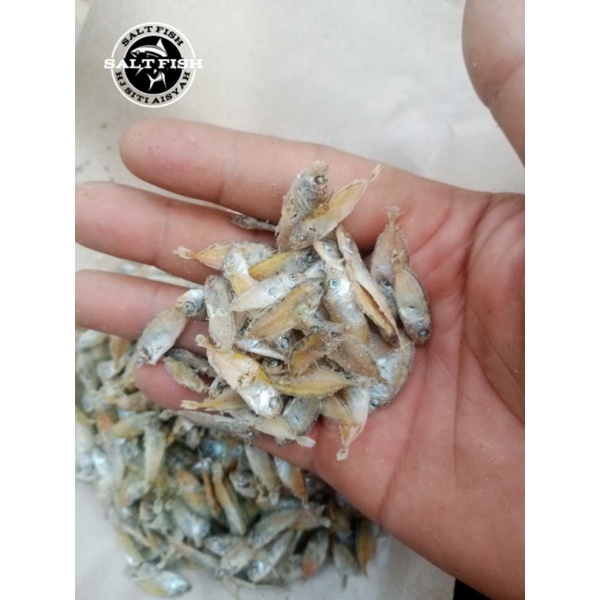 

PROMO ikan TAPIS REBUS kering ; 500 gram