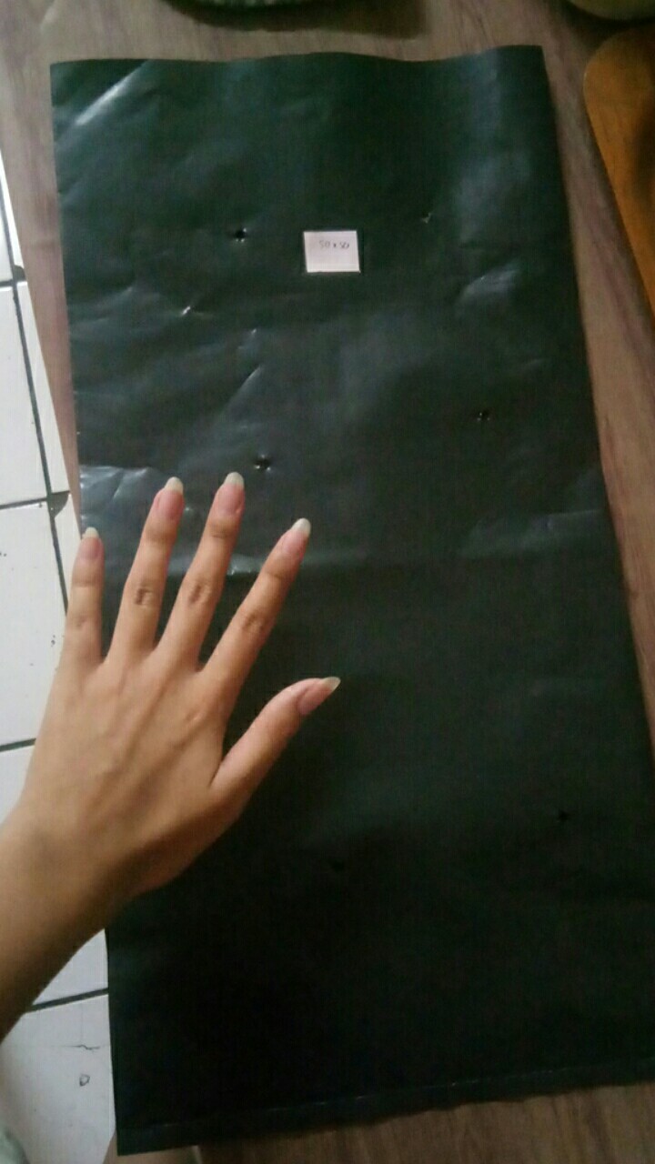 Polybag 50x50 Cm Tebal / Kantong Semai Benih 50x50 Cm