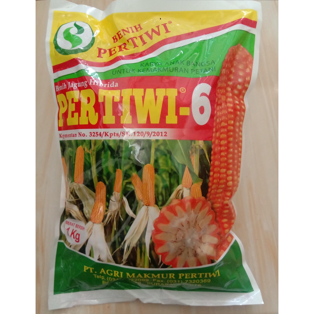 Benih Jagung Hibrida PERTIWI-6