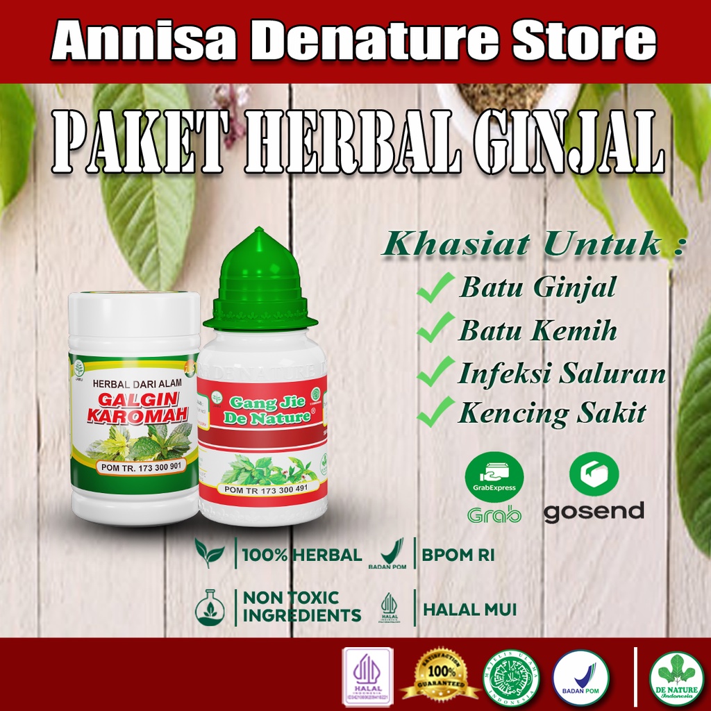 Obat Batu Ginjal, Kencing Batu, Gagal Ginjal, Cuci Darah, Kencing Sakit, Batu Ginjal Sembuh