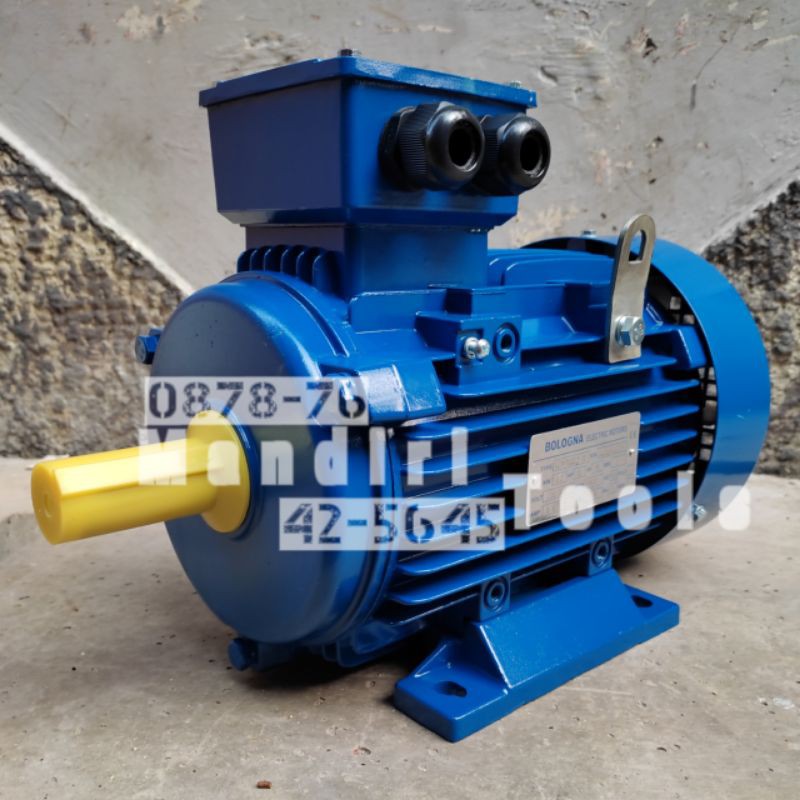 Mandiri /Bologna Dinamo electric Motor /Mesin penggerak 3 hp 4 pole