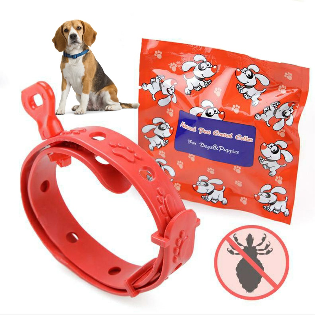 Kalung Anti Kutu Anjing - Kalung Anjing Ampuh Basmi Kutu