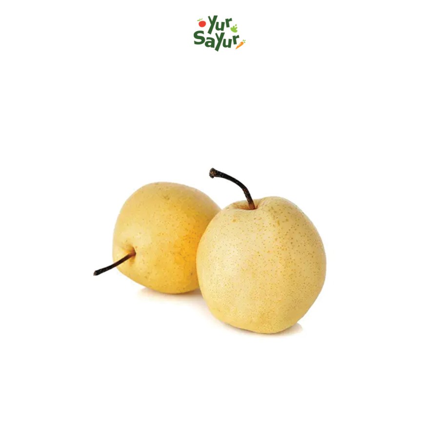 

Buah Pear Sweet Fresh || 1 Kg