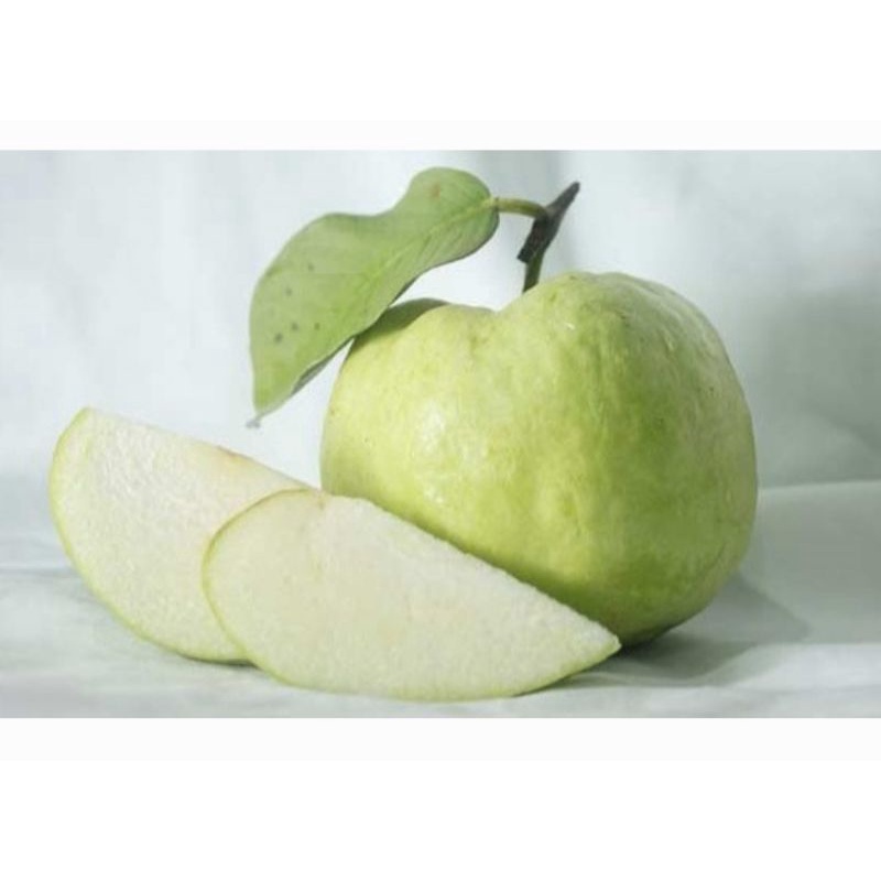 

Jambu Kristal Tanpa Biji 1kg