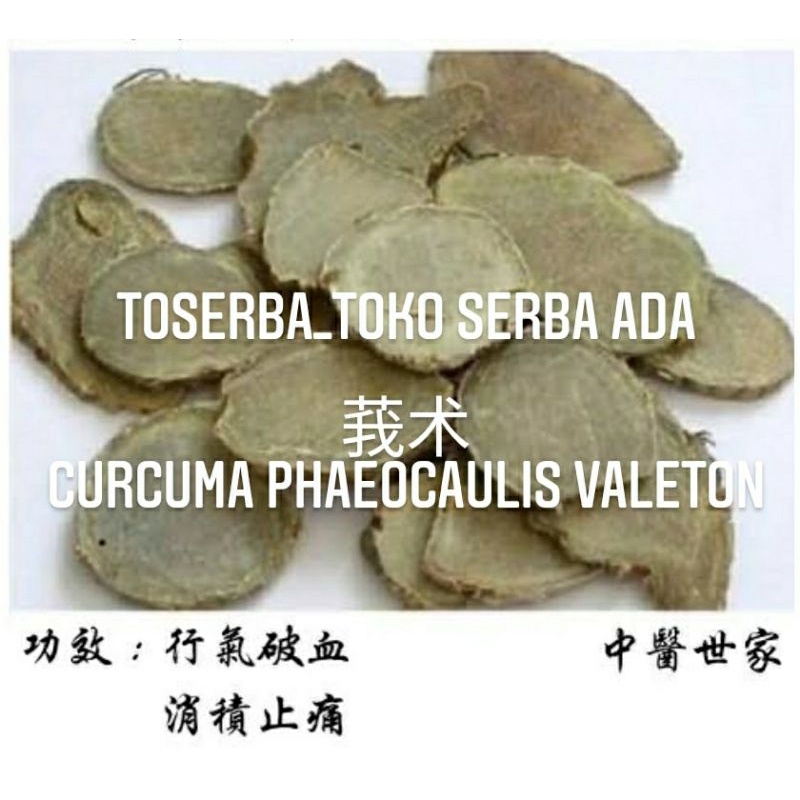 

100gr Herbal E Shu E Zhu 莪术 Curcuma Phaeocaulis Valeton Grade A