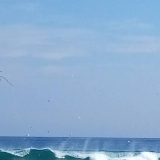 putrinurulmusfiatunnikmah