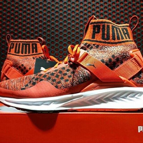 PUMA IGNITE EVOKNITE (LIMITED)"ORIGINAL"