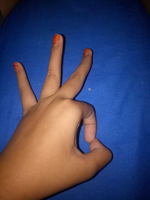 Vitrase Puring Daleman Gorden Warna Disesuaikan Hordeng Korden Gordyn Tirai