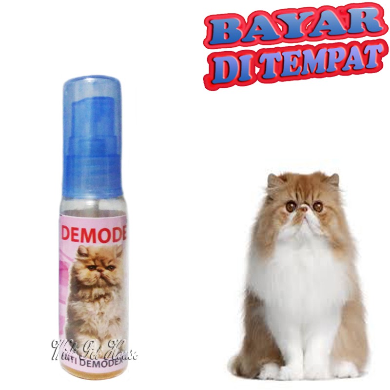 Obat Luka Kucing DEMODEX Sakit Koreng Jamur Gatal Scabies Bulu Rontok Botak