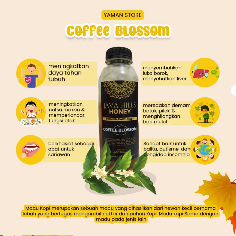 

Madu Bunga Kopi (Coffee Blossom) Java Hills Honey