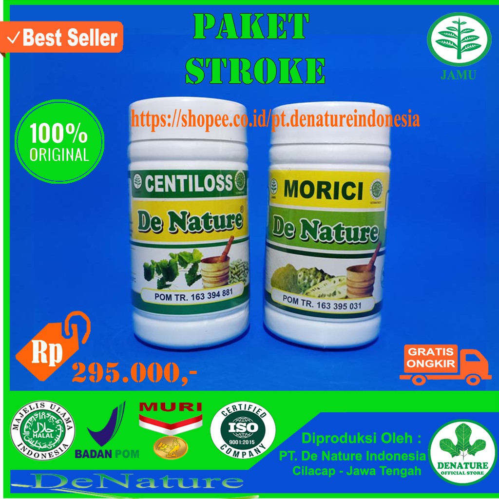 

OBAT STROKE / VERTIGO HERBAL DE NATURE INDONESIA