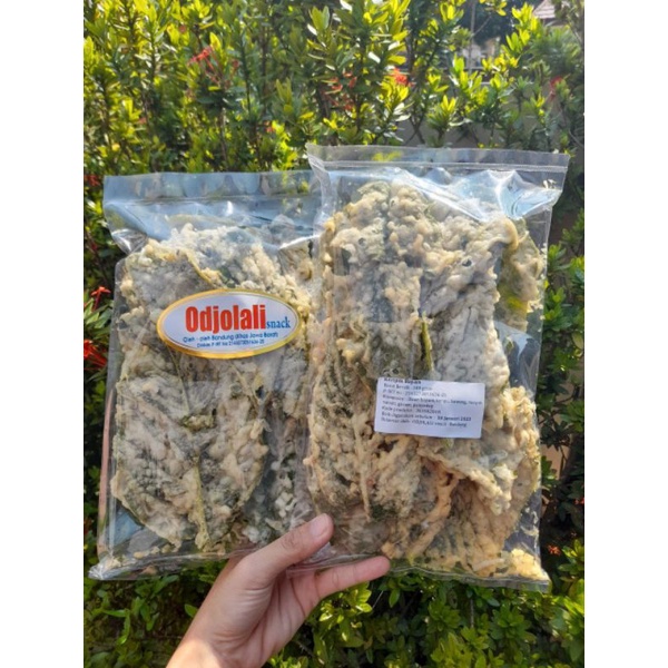 

Keripik Bayam Odjolali Oleh Oleh Khas Bandung