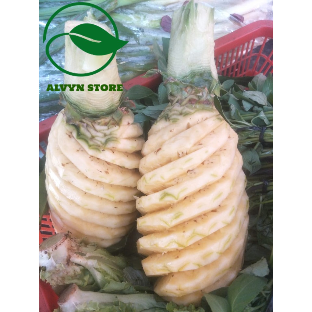 

NANAS KUPAS PALEMBANG