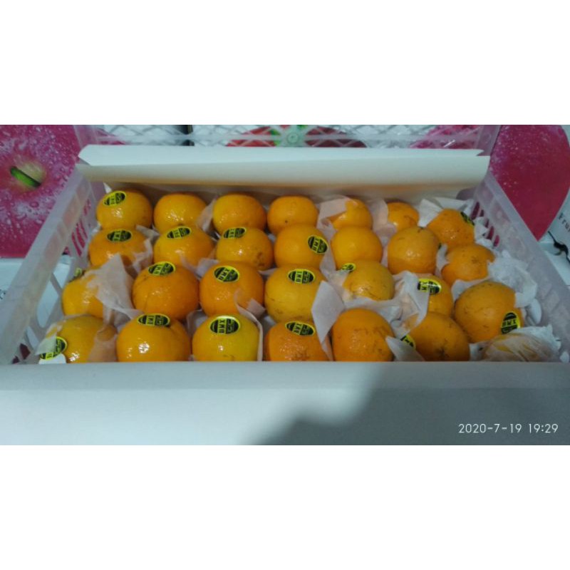 

Jeruk Wokam DMX import /kg