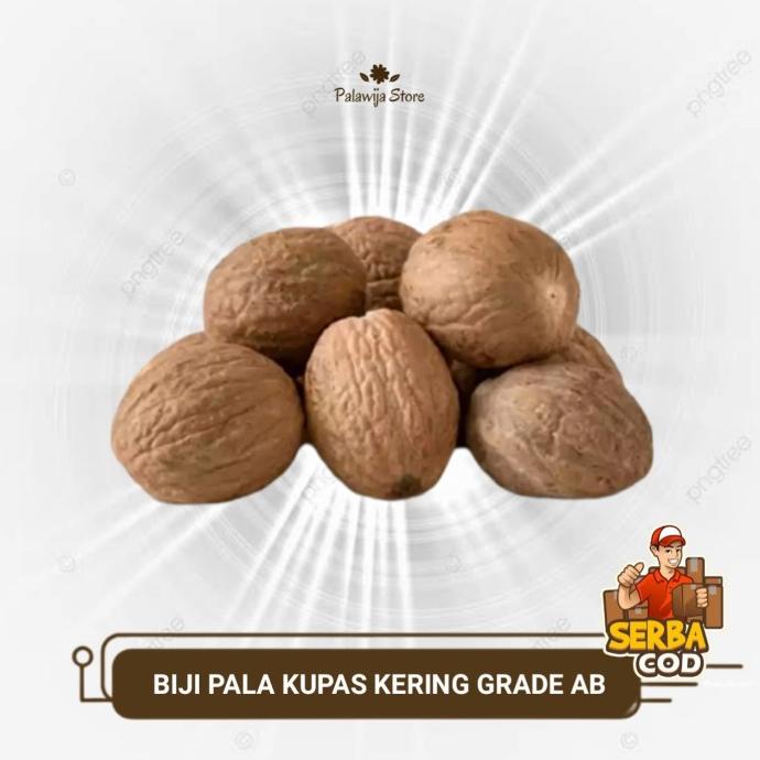 

~~~~~] BIJI PALA KERING 500 GRAM