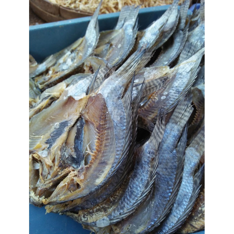 

ikan asin jaer
