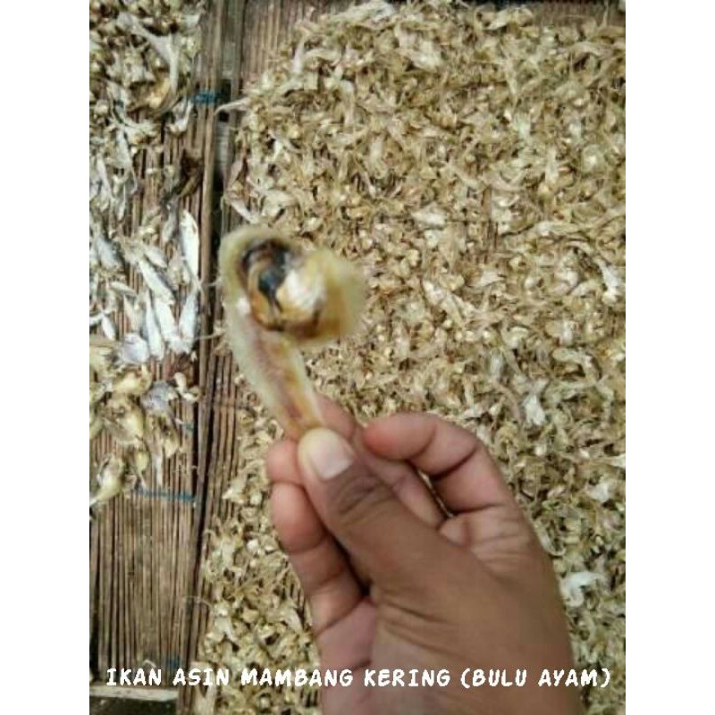 ikan asin bulu ayam belah kering