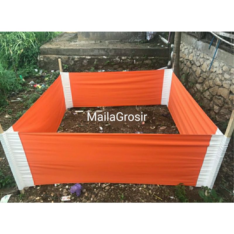 Geber ayam aduan ukuran 2.5x2.5