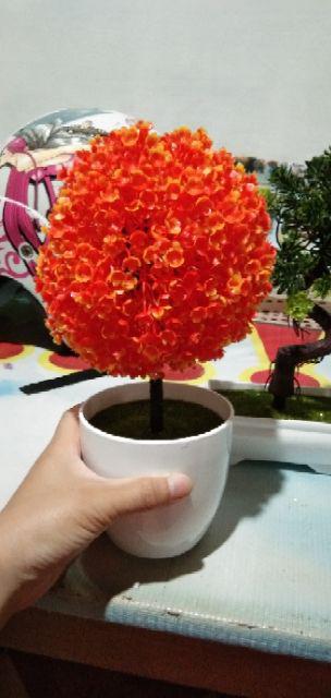 [1kg 11pcs] Pot Tanaman Vas Bunga Varian Pt01-pt04 Dekorasi Rumah Tanaman Plastik Hias Import