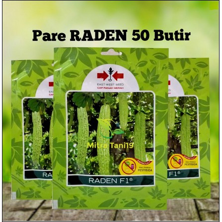 BIBIT BENIH TANAMAN SAYUR HIDROPONIK PARIA PARE RADEN 50 BUTIR CAP PANAH MERAH
