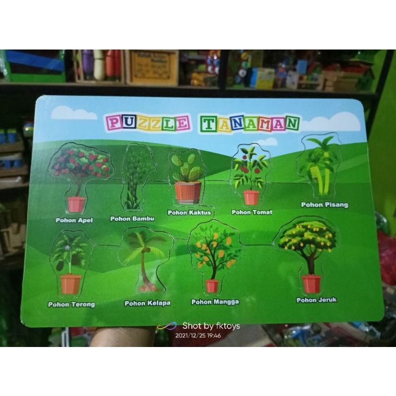 puzzle kayu tanaman - mainan kayu edukasi mengenal nama tanaman