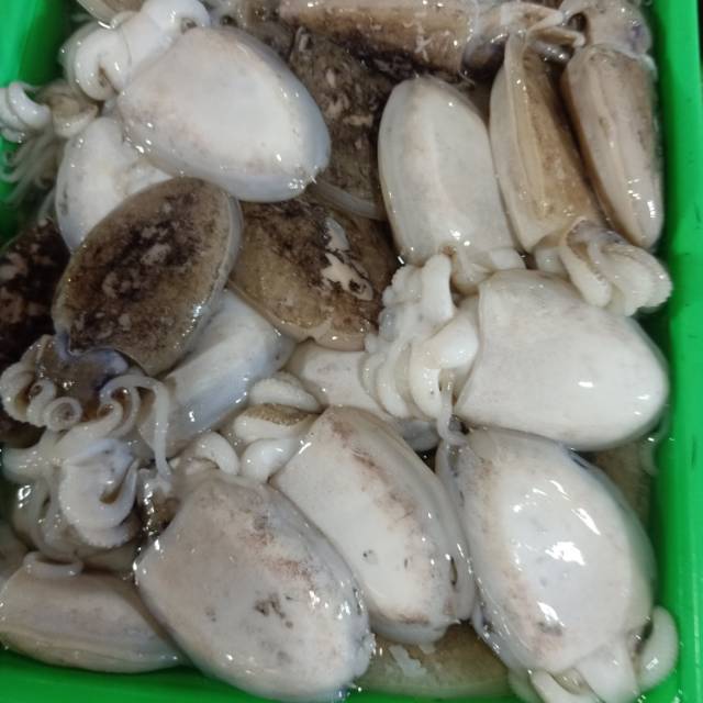 

Sotong Fresh @250gram