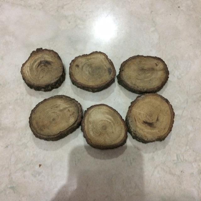 Slice Wood Potongan Kayu Untuk Dekorasi Wood Log