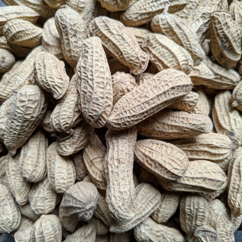 

KACANG SANGRAI BENDO 2kg