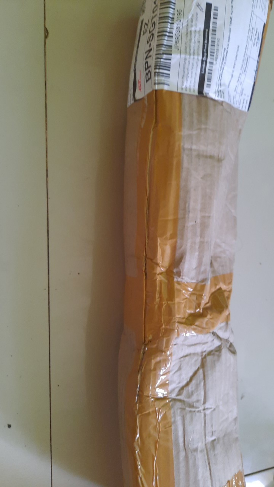 Rotansia / Hydragena/ Panca Warna