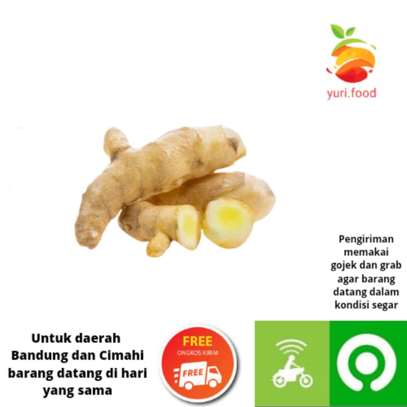 

Jahe 100gram (Cimahi satu hari sampai)