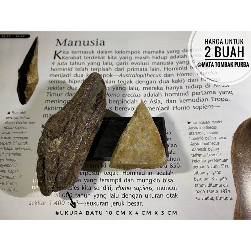 Batu Serpih Sampung C26 atau Batu Flakes atau Mata Tombak Purba atau Kapak Batu atau Kapak Genggam