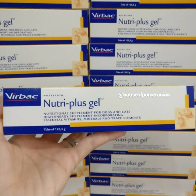 Nutriplusgel vitamin anjing kucing dog cat virbac