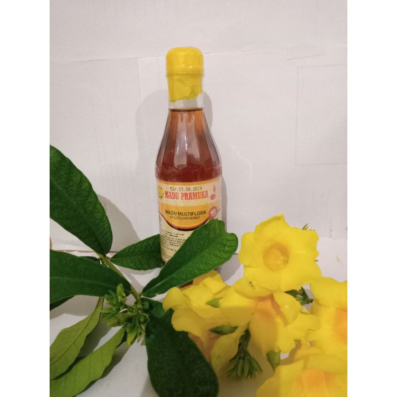 

Madu Pramuka Multiflora 350 ml
