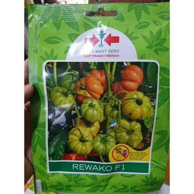 Benih Tomat Mawar Rewako F1 Panah Merah SP (150 Benih)