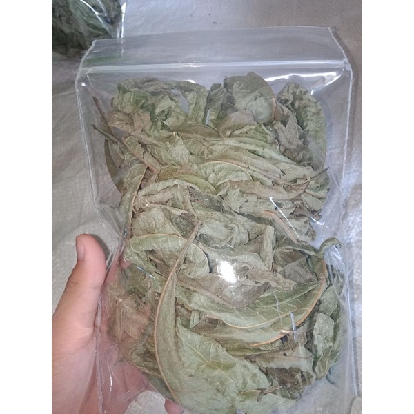 Daun Sungkai Herbal Asli Kalimantan