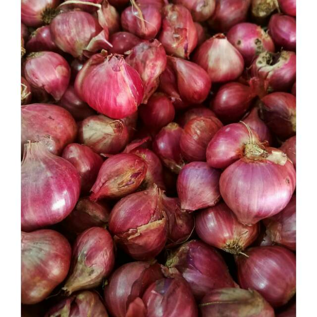 

Bawang merah 1 kg