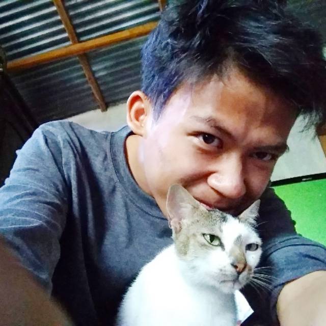 bang.mamet756