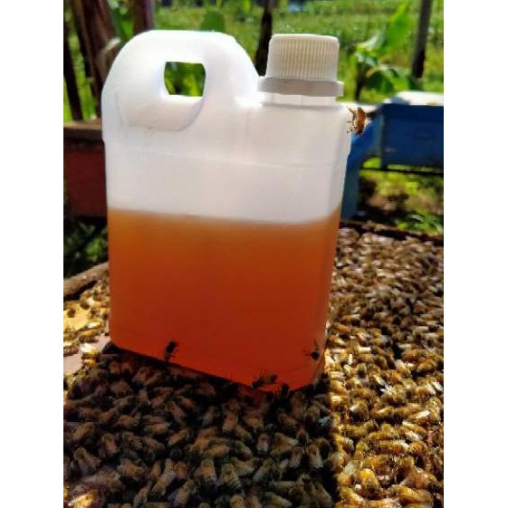 

4.4 FLASH SALE MADU ASLI MURNI HUTAN RANDU MURIA MURAH ORIGINAL RAW HONEY 1KG ⚡