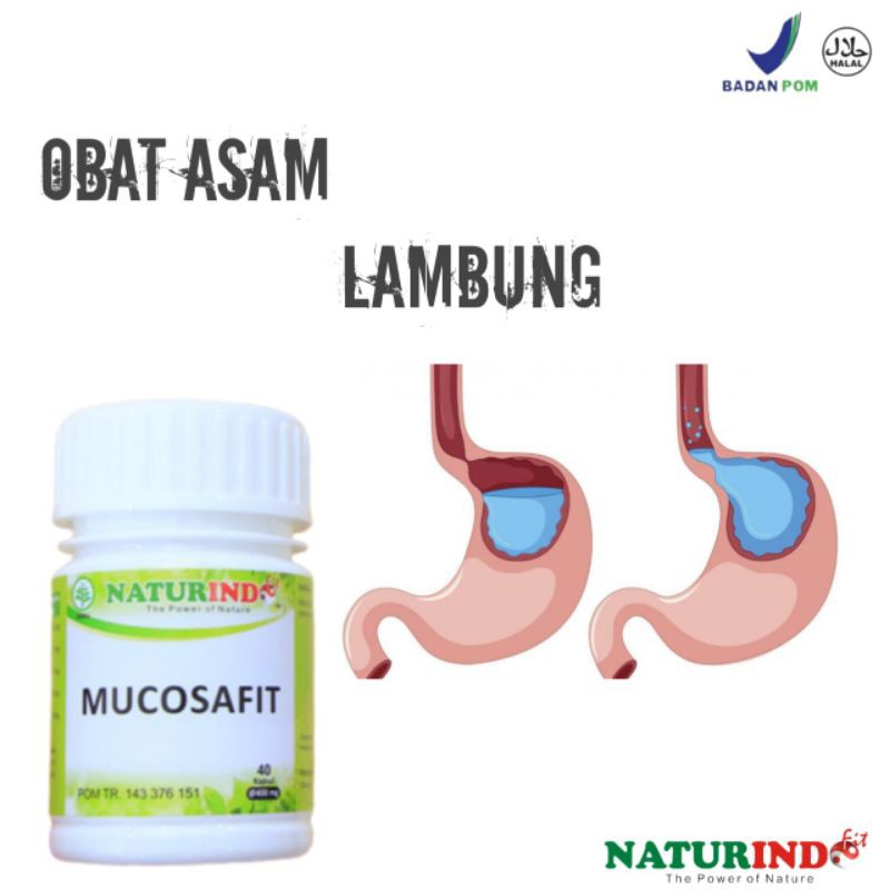 Obat Maag-Lambung-Asam Lambung-Maag Ampuh-Lambung Murah