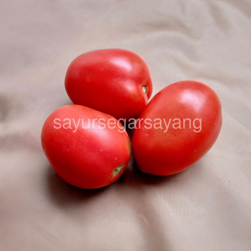 

Tomat Merah 500gr