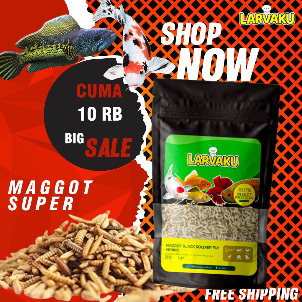 [PROMO TERBATAS] Maggot Kering Pakan ikan predator koi maggot bsf murah larvaku udang kering pakan i