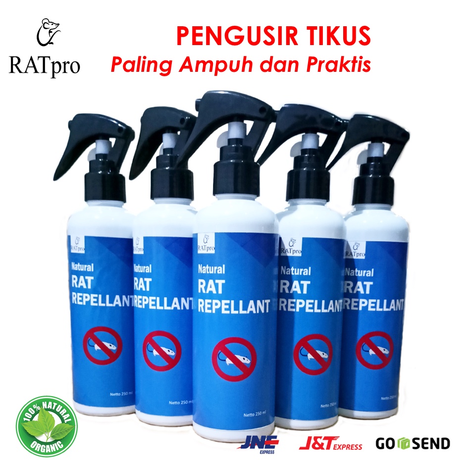 PENGUSIR TIKUS PALING AMPUH PRAKTIS LANGSUNG SEMPROT RATpro 250ml BAHAN ALAMI