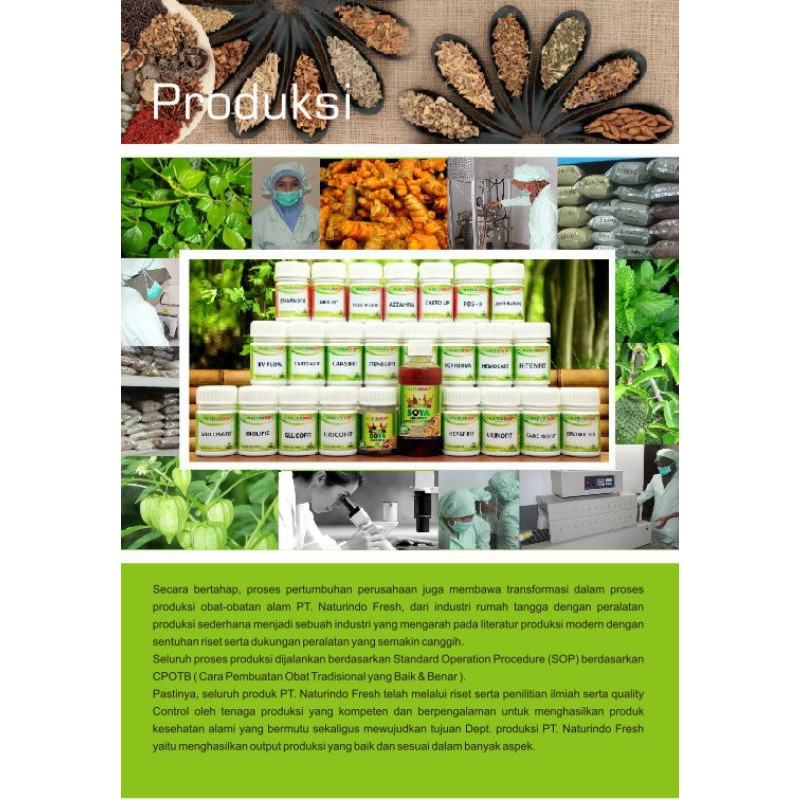 NATURINDO Obat Herbal Gurah Paru Paru Batuk Menahun Anosmia Sinusitis Asma Sesak Nafas Radang Tenggorokan Bron C Fit 40 KAPSUL-6