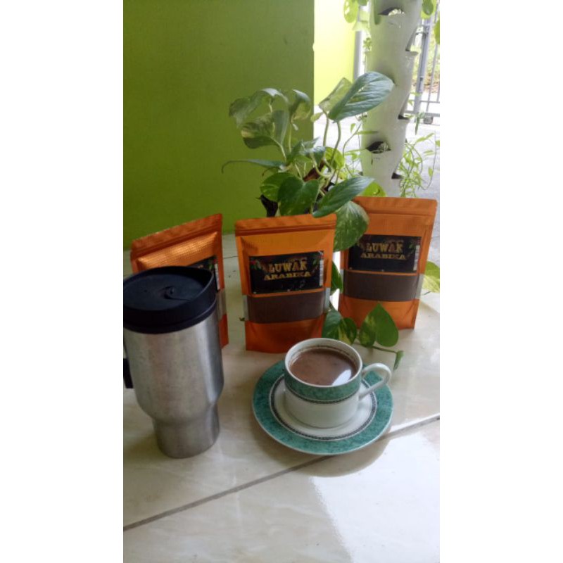 

Kopi Luwak Arabika