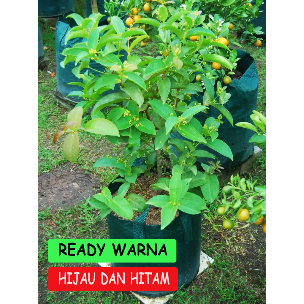 Planter bag 45 Liter EASY GROW planterbag 45liter easygrow kantong Pot polybag semai benih bibit Tanaman bunga sayuran buah planter bag